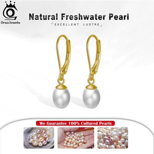 14K Gold-Plated 925 Sterling Silver Baroque Pearl Drop Earrings | Handpicked Natural Freshwater Pearl Dangle Jewelry for Women