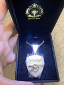 Dazzle Dime 925 Sterling Silver Base 18k Gold Plated Dazzle Dime Gunner Necklace with Chain – Celebrate Your Passion for AFC