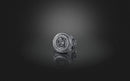 Dazzle Dime® Zodiac Leo Ring: Bold, Regal, and Unstoppable Exquisite 925 Sterling Silver with 18K White & Yellow Gold Accents DAZZLE DIME®